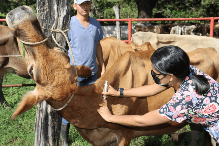 Mesa de trabajo 5@3x-8