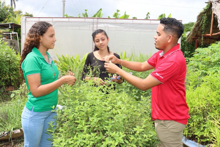 Ciencias Naturales (2)